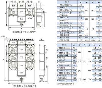 專業(yè)定制，安全可靠 BSK防爆配電箱廠家直銷服務(wù)詳解